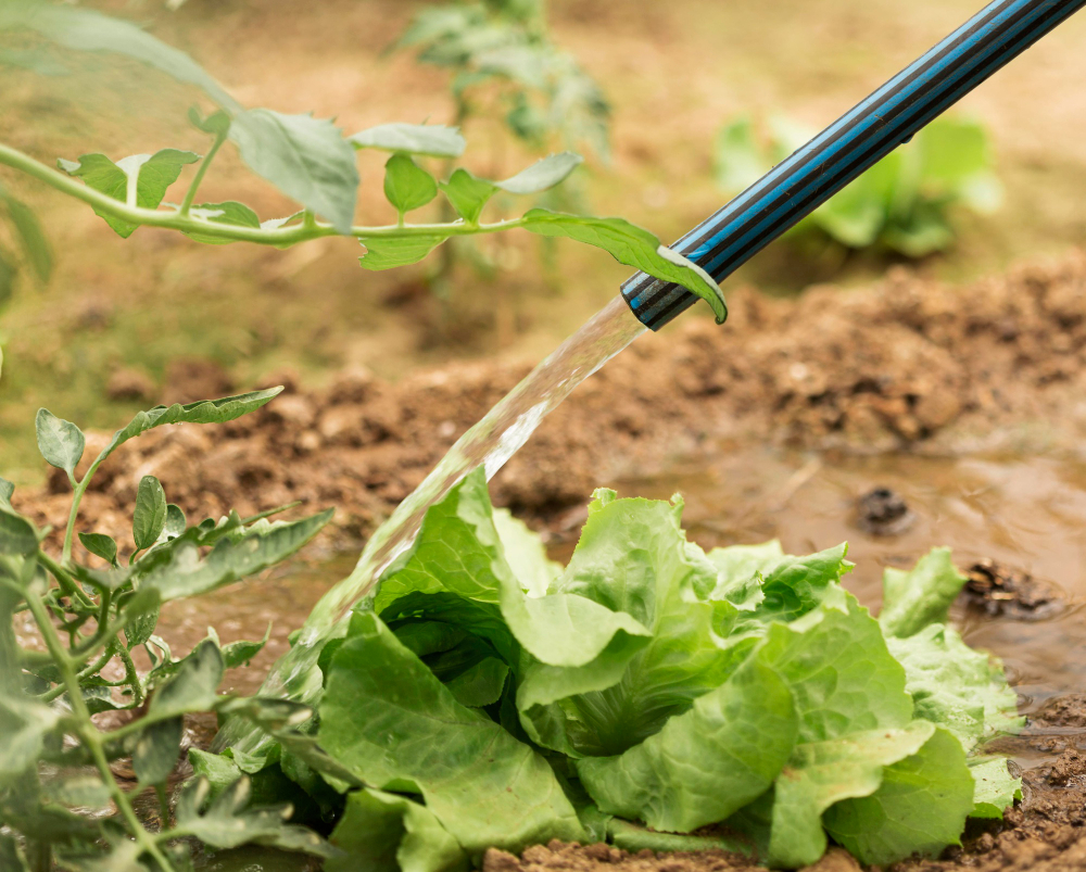 Irrigation